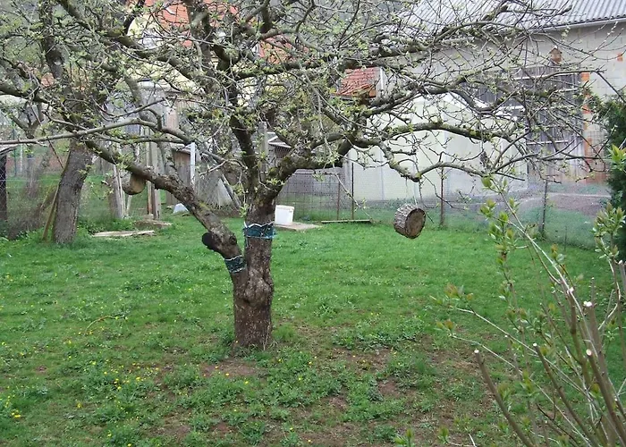 Dom wakacyjny Dorfglueck Bischof 97633 Sulzfeld-leinach Sulzfeld (Rhon-Grabfeld)